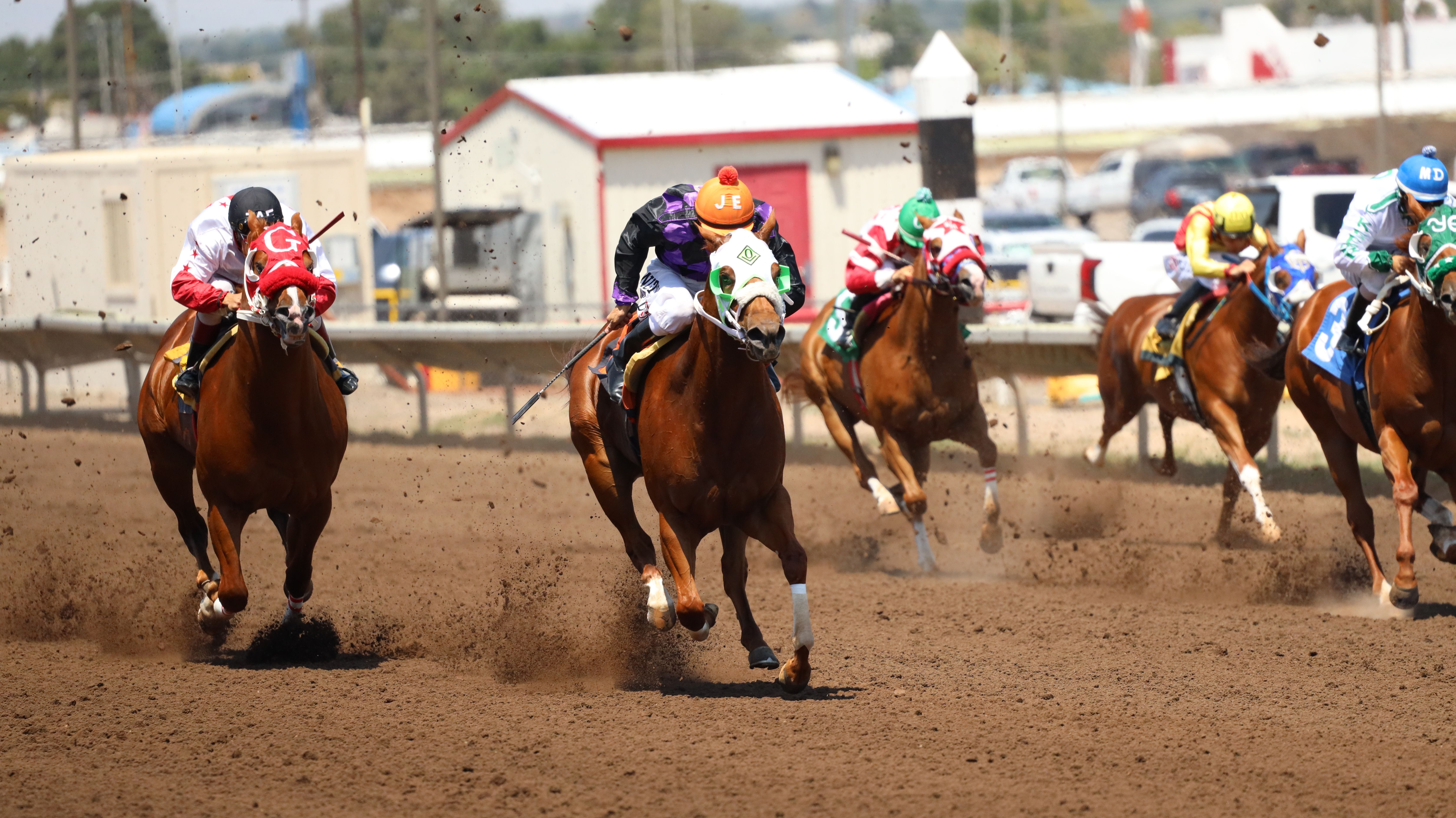 Tempting Lu delivered the fastest qualifying time from Saturday's second day of trials for the $3 million All American Futurity-G1