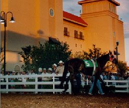 Retama Park