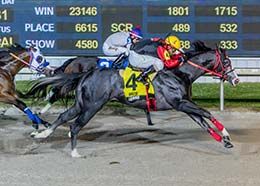 Shot Of Takillya, under jockey Raul Hernandez, Jr., won the $194,020 Old South Futurity on Saturday at Delta Downs.