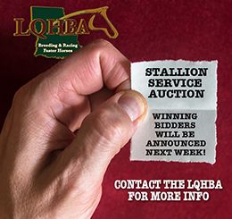 LQHBA winning bidders will be announced on Monday or Tuesday.