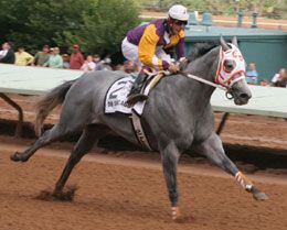 AQHA Racing World Champion DM Shicago winning the Grade 1 All American Derby at Ruidoso Downs.