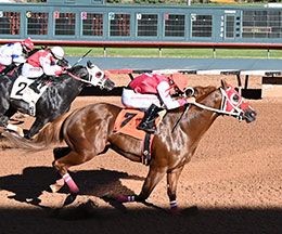 Ruidoso Downs Race Track