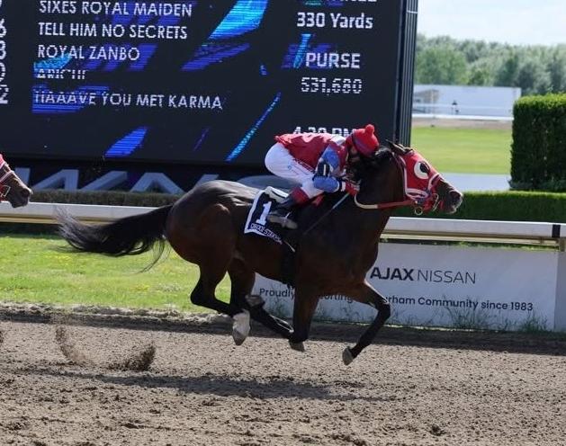 Picov Derby and Ontario Sires Stakes Trials This Wednesday