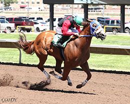 King Of The Tide, under champion jockey Ricky Ramirez, posted the fastest qualifying time from 16 trials contested on Day 1.
