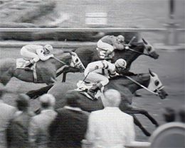 StallioneSearch releases Episode 59 of the QH Racing Talk - Weekly, featuring an in-depth conversation with deceased trainer Larry Sharp and Jockey John Ward.