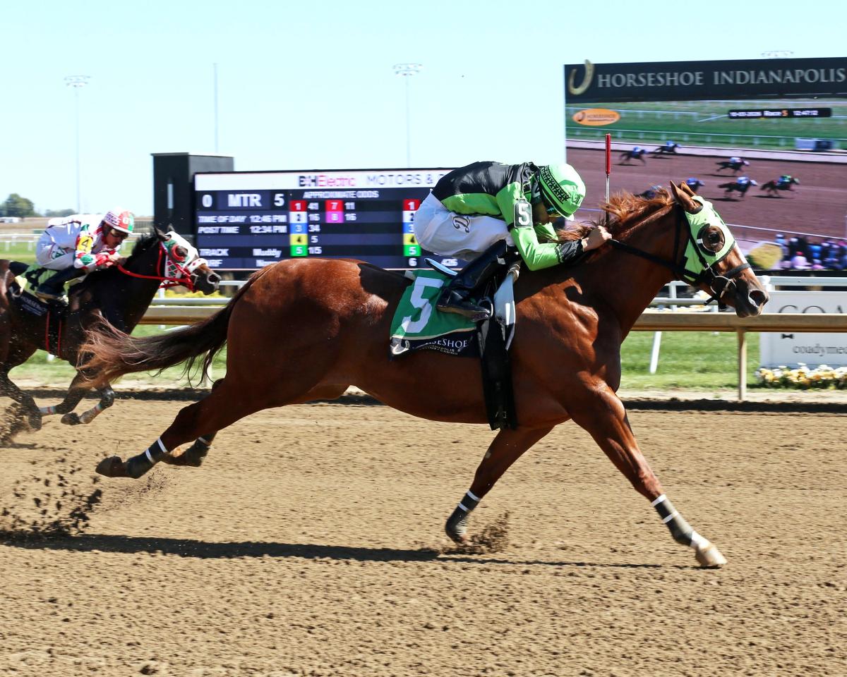 TW A Political Beach Tops Governors Stakes Trials at Horseshoe Indianapolis