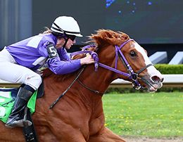 A Rushn Lilly carries the hopes of her owners, Five Fillies Racing, into the Trials for the Unclassified Stakes on June 5 