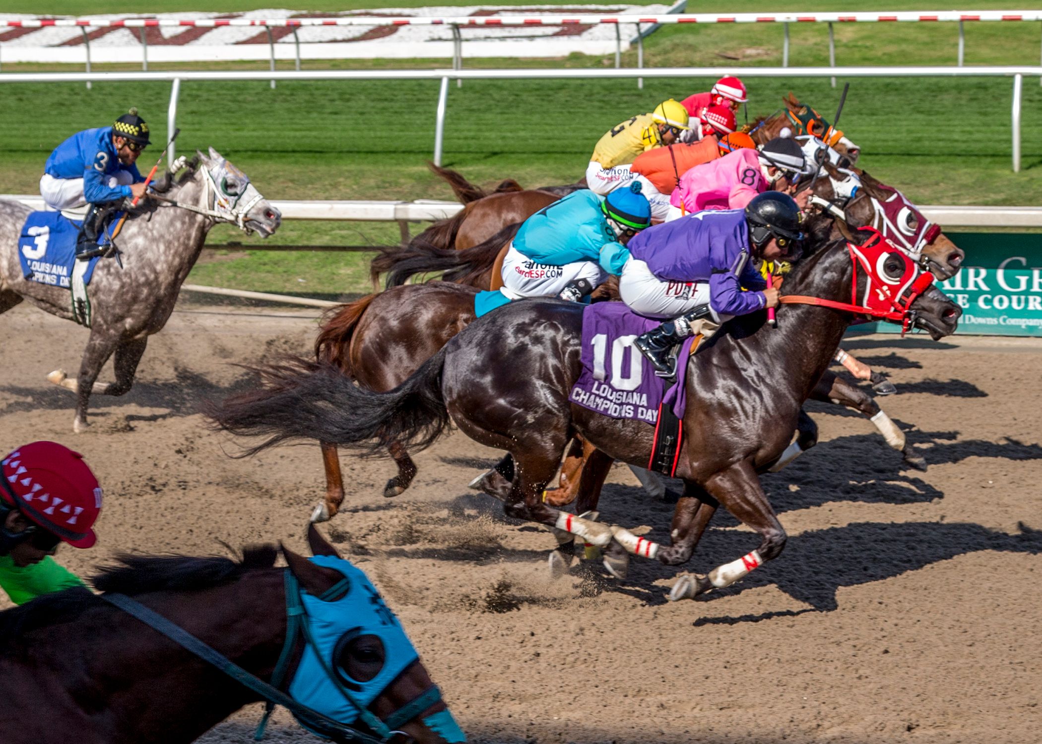 Tuckers Prize show winning at the Fair Grounds in the 2019 Louisiana Champions Day QH Derby