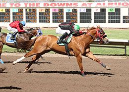 Jarvis V, under champion jockey Fransico Calderon, posted the second-fastest Rainbow Derby trial time in the second trial.