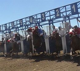 Jerome County Fair