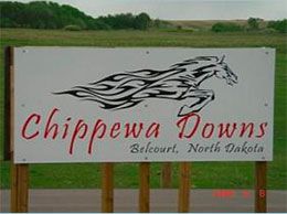 Chippewa Downs
