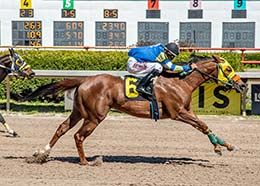 Fanny B Dove, under jockey Leonardo Rodriguez, wins the opening trial.