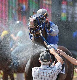 Trainer Bryn Robertson gives Had To Be Ivory a well-deserved rinse after winning the Ontario Bred Maturity on Wednesday at Ajax Downs.