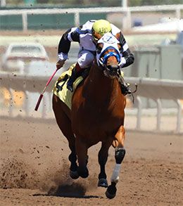 Undefeated Envestor posted the fifth fastest qualifying time on day 1 of the All American Futurity trials.
