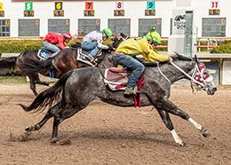 Valentina Niebes, under jockey Jorge Garcia, posted the fastest Louisiana-bred time during Wednesday's 16 schooling races at Louisiana Downs.