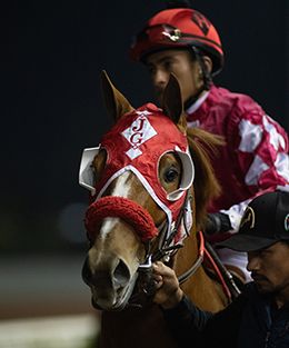 Los Alamitos