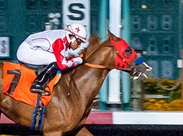 Los Alamitos
