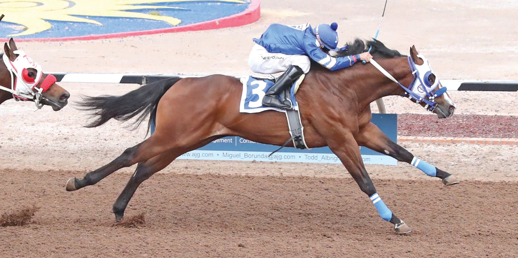 Eagle Aye shown winning his West Texas Futurity trial at Sunland Park.
