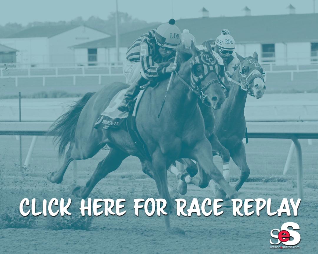 Royalist Holds Off Karma Cha Ching in $168,400 Dash For Cash Derby at ...
