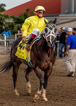 Tell Your San Lorenzo Firulais and jockey Martin Osuana return after winning the richest LQHBA Sale Futurity in history at Fair Grounds Race Course.