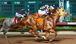 Rocket Seventeen qualifying for the $2,036,825 Los Alamitos Two Million Futurity(G1) in 2021.