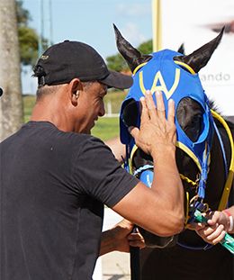 Trainer I. Nascimento “Guaxinim” strokes the champion Lasvegas Cowgirl MRL.