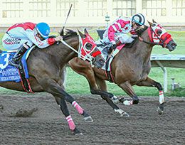 Stakes winner Kj Bad Moon Rising (inside) finished second in one of the closest All American Futurity(G1) finishes in history.