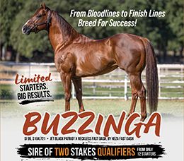 SES AD CREATIONS