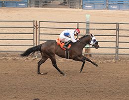 Pocatello Downs