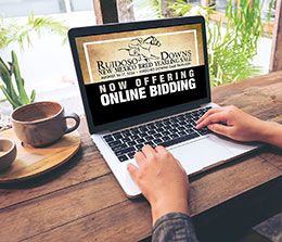 All American Horse Sale Company will offer "online bidding" for its upcoming Ruidoso New Mexico Bred Yearling Sale, August 16 and 17, at the Ruidoso Downs Sale Pavilion.