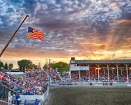 Cassia County Fair