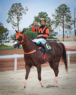 Cadillac Ease HW after the 10th victory of his career.