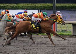 Miguel Angel Espinoza / Hipodromo de Las Américas