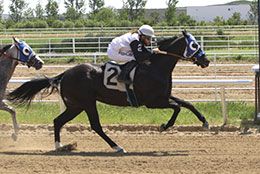 Wrangler 123 won the second trial under jockey Dakota Wood.