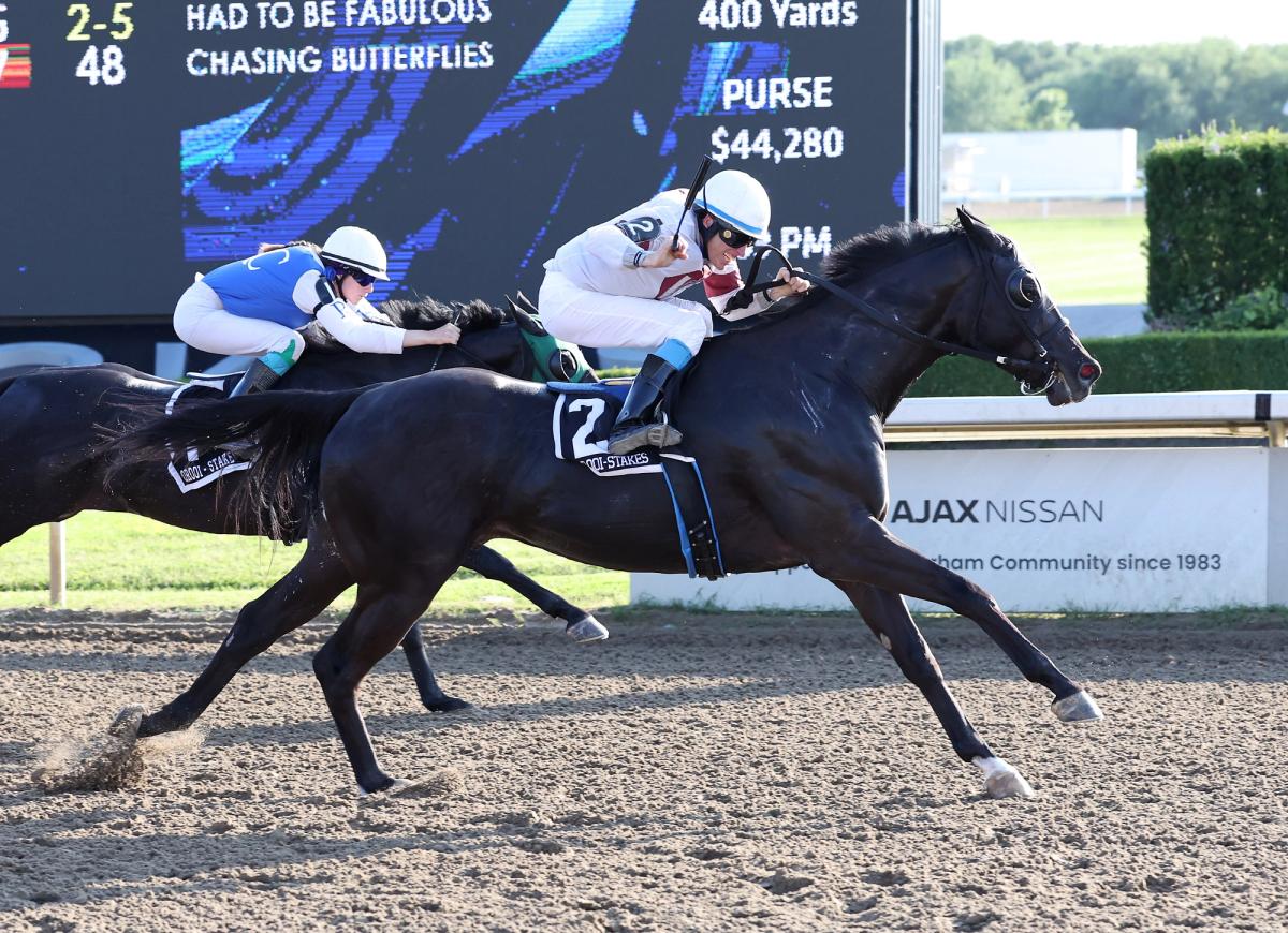 FAMILY FUN AND QUARTER HORSE RACING THIS SUNDAY AT AJAX DOWNS