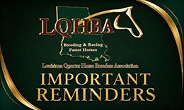 @ LQHBA