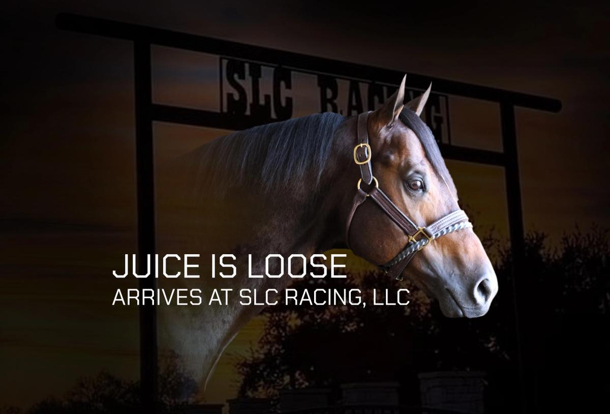 A Vision Takes Shape: SLC Racing Expands With A Breeding Division, and Juice Is Loose Arrives