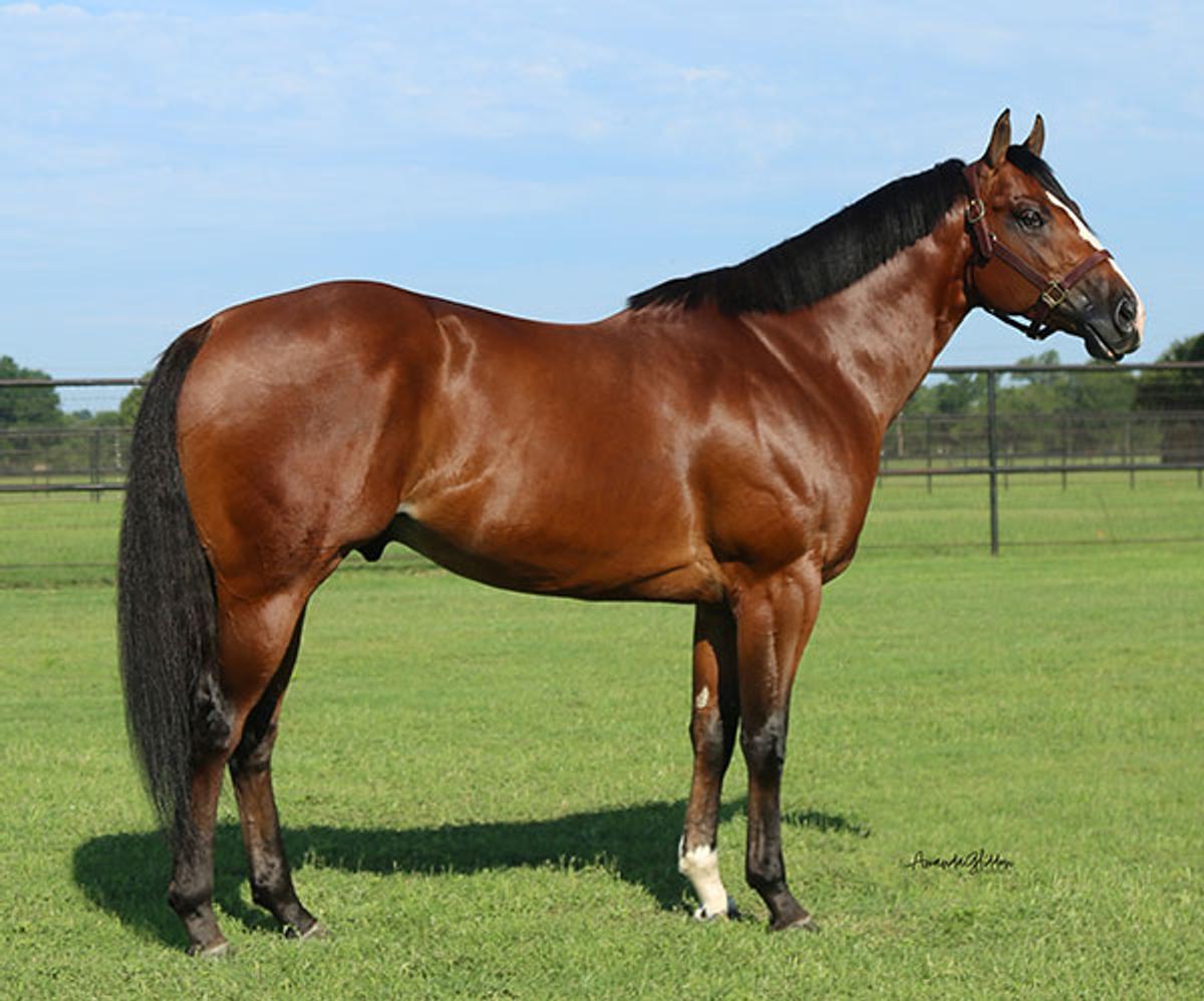 Photo of Ajs Tres Of Paint