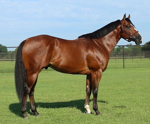 Photo of Ajs Tres Of Paint
