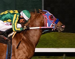 Los Alamitos
