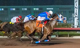 Apollitical Joy and jockey Jose Nicasio set the second-fastest time in the fourth trial on Sunday night.