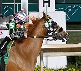 Frankie Jr is on of 26 sophomores enters in the TQHA Sires' Cup Derby on Saturday at Retama Park.