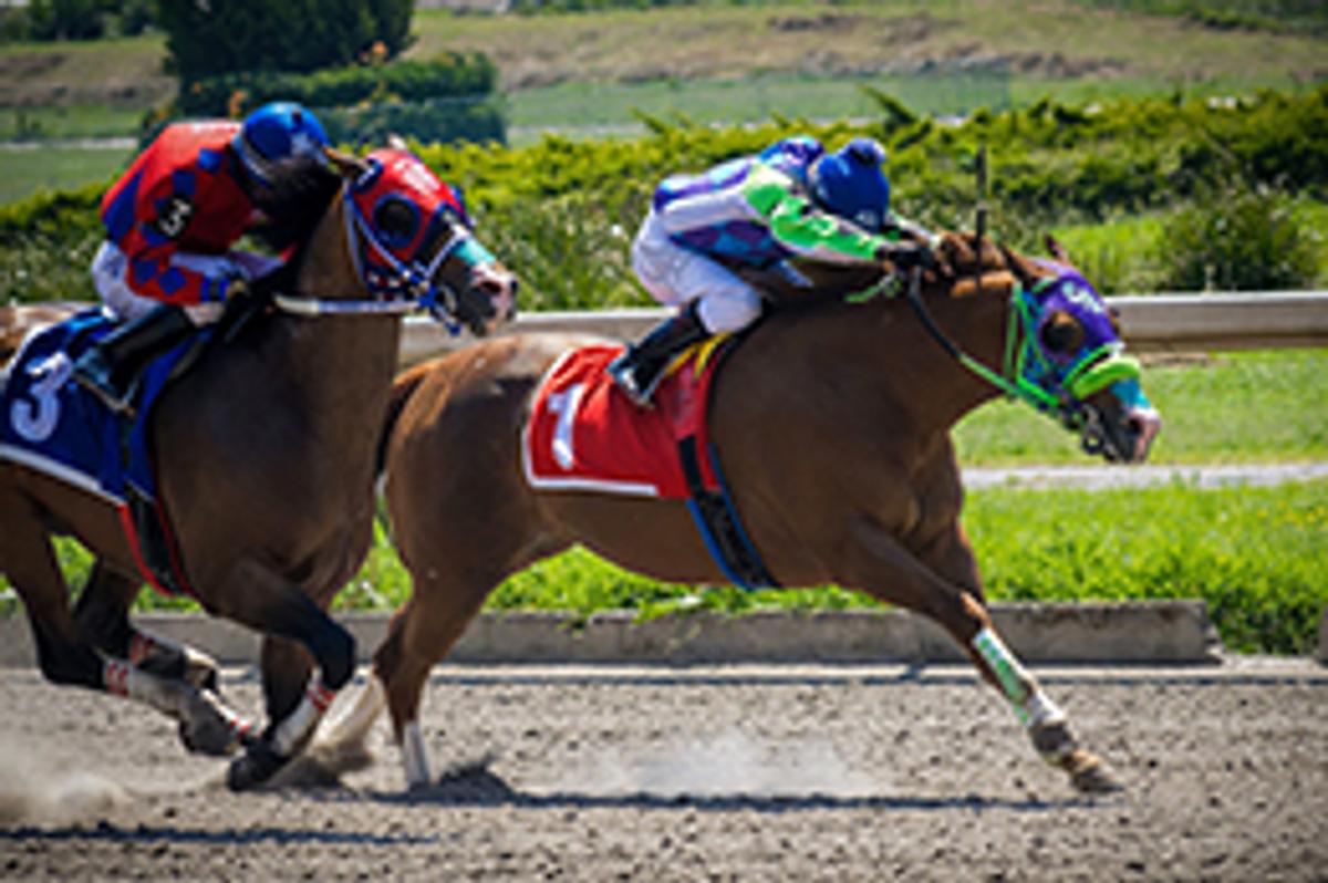 Miguel Angel Espinoza / Hipodromo de Las Américas