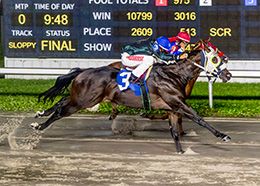 Rdd Reasons For B winning her trial to the Lee Berwick Futurity.