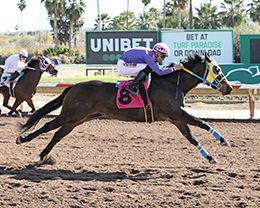 Jinxx shown winning an Allowance Race at Turf Paradise.