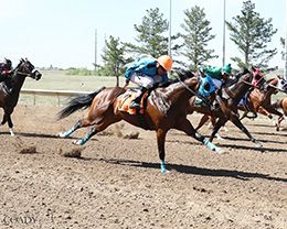 Arapahoe Park