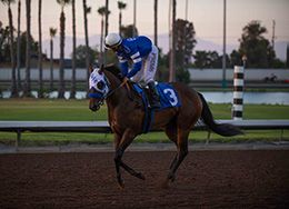 Los Alamitos