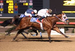 Stolis Winner winning the Grade 1 Texas Classic Derby at Lone Star Park.