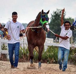Apollitical Glory (Flying Cowboy 123 - Personal Glory, by Walk Thru Fire).