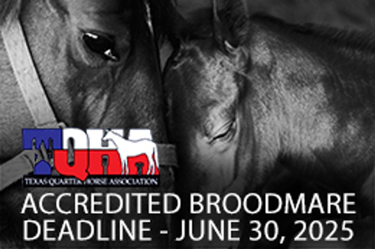 The deadline to accredit your broodmare with the TQHA for $50 is approaching quickly; it is due by June 30.